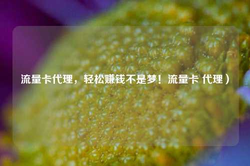 流量卡代理，轻松赚钱不是梦！流量卡 代理）