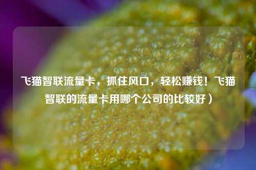 飞猫智联流量卡，抓住风口，轻松赚钱！飞猫智联的流量卡用哪个公司的比较好）