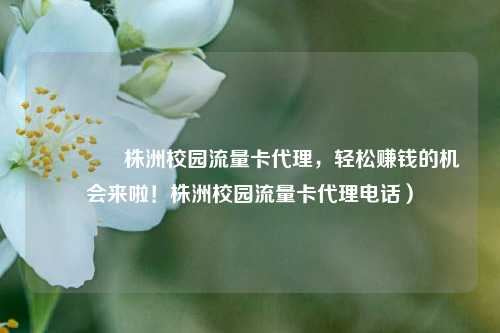 🚀株洲校园流量卡代理，轻松赚钱的机会来啦！株洲校园流量卡代理电话）