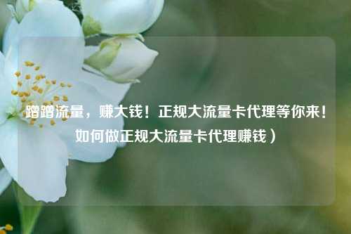 蹭蹭流量，赚大钱！正规大流量卡代理等你来！如何做正规大流量卡代理赚钱）