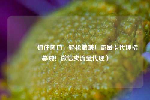 🚀抓住风口，轻松躺赚！流量卡代理招募啦！微信卖流量代理）