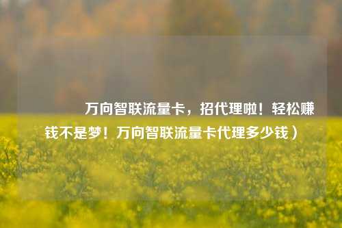 🚀万向智联流量卡，招代理啦！轻松赚钱不是梦！万向智联流量卡代理多少钱）