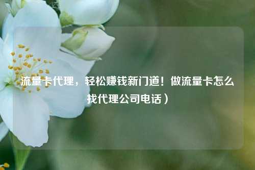 流量卡代理，轻松赚钱新门道！做流量卡怎么找代理公司电话）