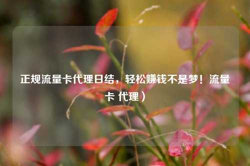 正规流量卡代理日结，轻松赚钱不是梦！流量卡 代理）