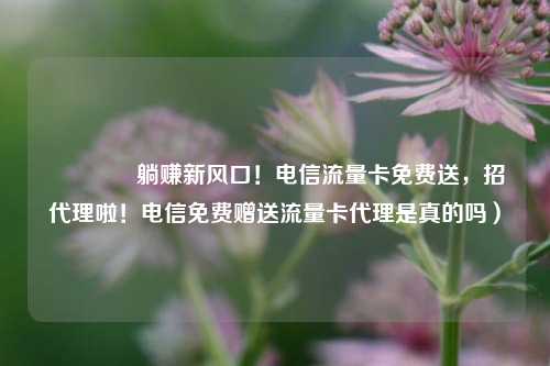 🚀躺赚新风口！电信流量卡免费送，招代理啦！电信免费赠送流量卡代理是真的吗）