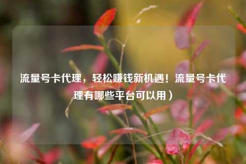 流量号卡代理，轻松赚钱新机遇！流量号卡代理有哪些平台可以用）