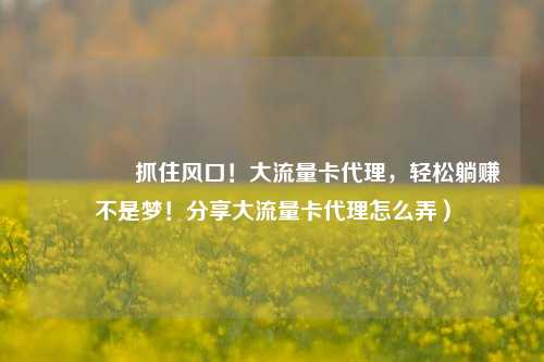 🚀抓住风口！大流量卡代理，轻松躺赚不是梦！分享大流量卡代理怎么弄）