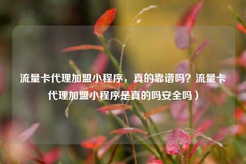 流量卡代理加盟小程序，真的靠谱吗？流量卡代理加盟小程序是真的吗安全吗）