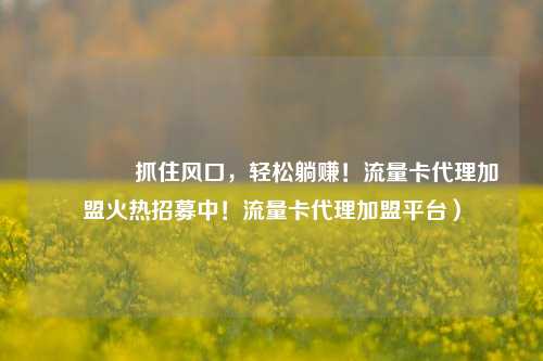 🚀抓住风口，轻松躺赚！流量卡代理加盟火热招募中！流量卡代理加盟平台）