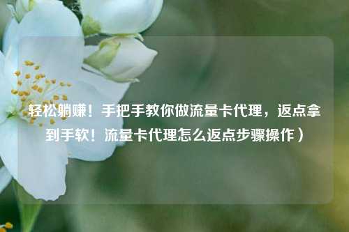 轻松躺赚！手把手教你做流量卡代理，返点拿到手软！流量卡代理怎么返点步骤操作）
