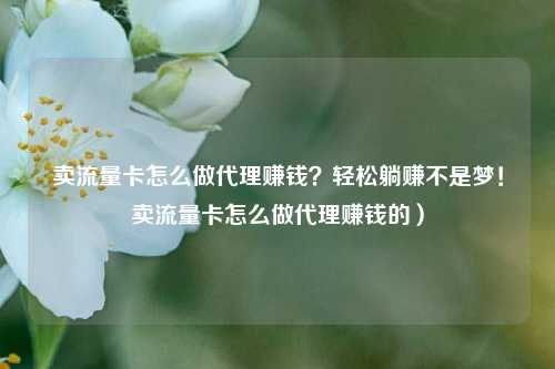 卖流量卡怎么做代理赚钱？轻松躺赚不是梦！卖流量卡怎么做代理赚钱的）