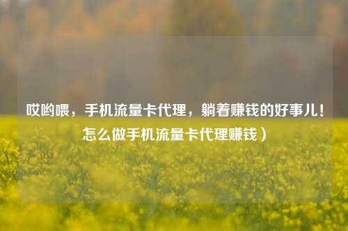 哎哟喂，手机流量卡代理，躺着赚钱的好事儿！怎么做手机流量卡代理赚钱）