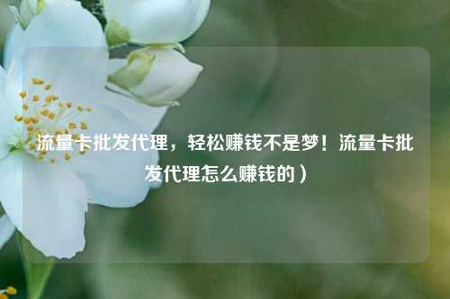 流量卡批发代理，轻松赚钱不是梦！流量卡批发代理怎么赚钱的）