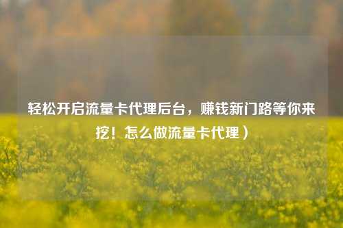 轻松开启流量卡代理后台，赚钱新门路等你来挖！怎么做流量卡代理）