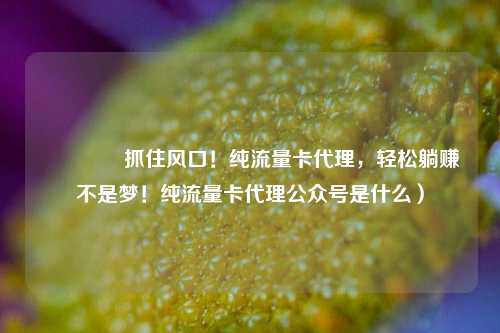 🚀抓住风口！纯流量卡代理，轻松躺赚不是梦！纯流量卡代理公众号是什么）