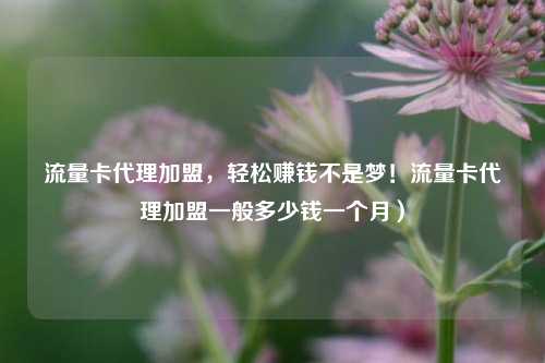 流量卡代理加盟，轻松赚钱不是梦！流量卡代理加盟一般多少钱一个月）