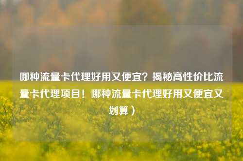 哪种流量卡代理好用又便宜？揭秘高性价比流量卡代理项目！哪种流量卡代理好用又便宜又划算）