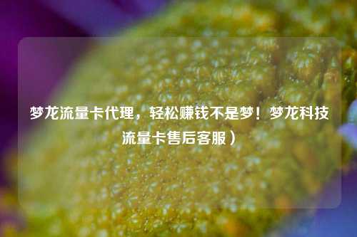 梦龙流量卡代理，轻松赚钱不是梦！梦龙科技流量卡售后客服）
