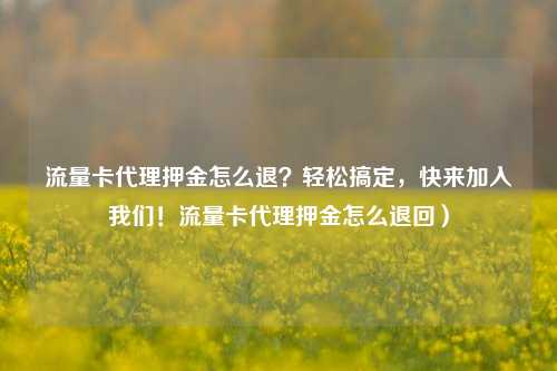 流量卡代理押金怎么退？轻松搞定，快来加入我们！流量卡代理押金怎么退回）
