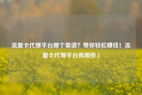 流量卡代理平台哪个靠谱？带你轻松赚钱！流量卡代理平台有哪些）