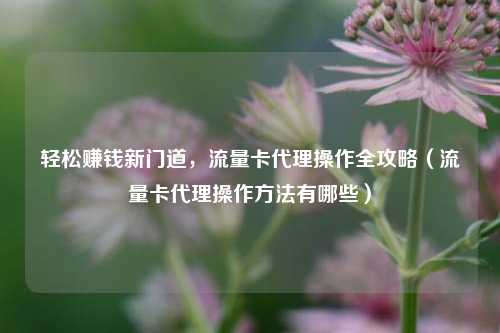 轻松赚钱新门道，流量卡代理操作全攻略（流量卡代理操作方法有哪些）