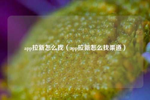 app拉新怎么找（app拉新怎么找渠道）