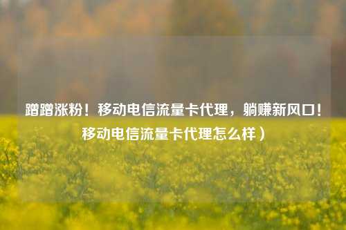 蹭蹭涨粉！移动电信流量卡代理，躺赚新风口！移动电信流量卡代理怎么样）