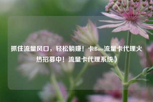 抓住流量风口，轻松躺赚！卡Boss流量卡代理火热招募中！流量卡代理系统）