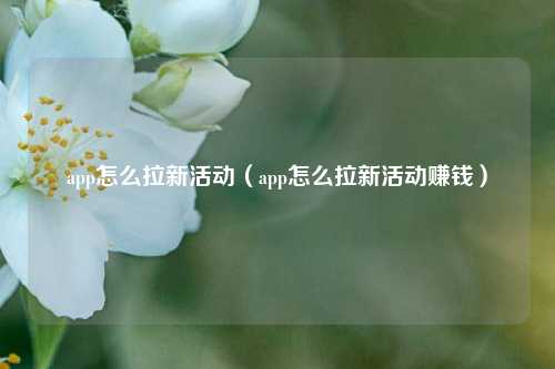 app怎么拉新活动（app怎么拉新活动赚钱）