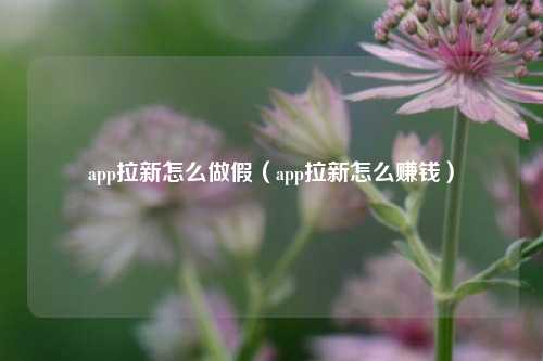 app拉新怎么做假（app拉新怎么赚钱）