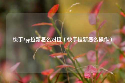 快手App拉新怎么对接（快手拉新怎么操作）