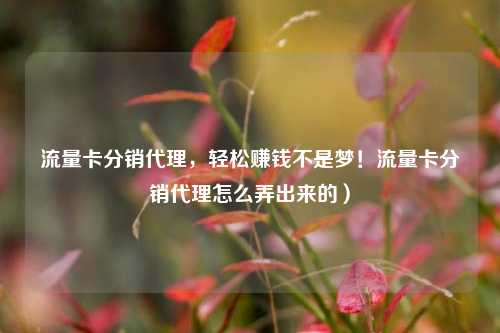 流量卡分销代理，轻松赚钱不是梦！流量卡分销代理怎么弄出来的）