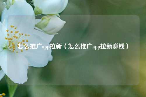 怎么推广app拉新（怎么推广app拉新赚钱）