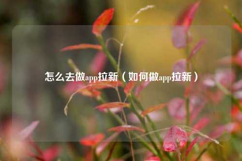 怎么去做app拉新（如何做app拉新）