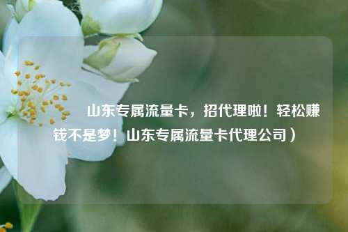 🚀山东专属流量卡，招代理啦！轻松赚钱不是梦！山东专属流量卡代理公司）