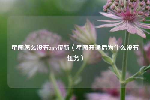 星图怎么没有app拉新（星图开通后为什么没有任务）