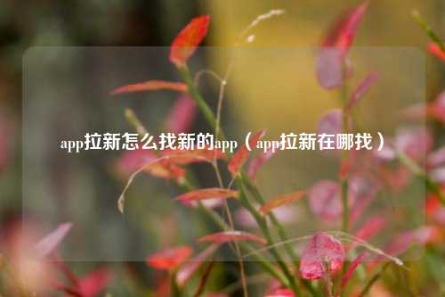 app拉新怎么找新的app（app拉新在哪找）