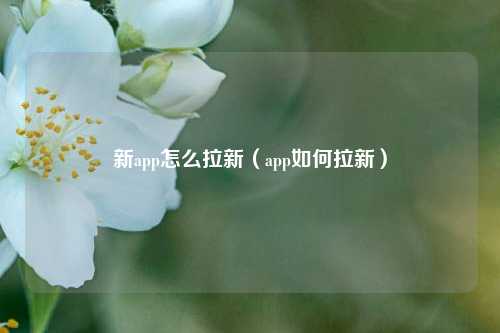 新app怎么拉新（app如何拉新）