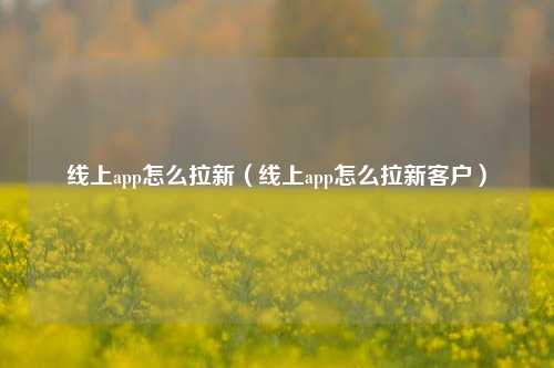 线上app怎么拉新（线上app怎么拉新客户）