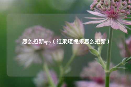 怎么拉新app（红果短视频怎么拉新）