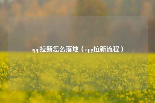 app拉新怎么落地（app拉新流程）