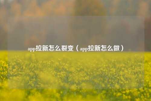 app拉新怎么裂变（app拉新怎么做）