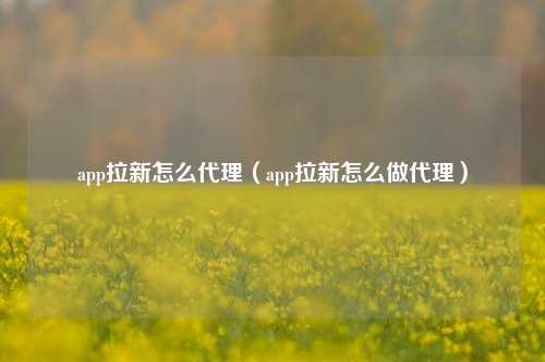 app拉新怎么代理（app拉新怎么做代理）