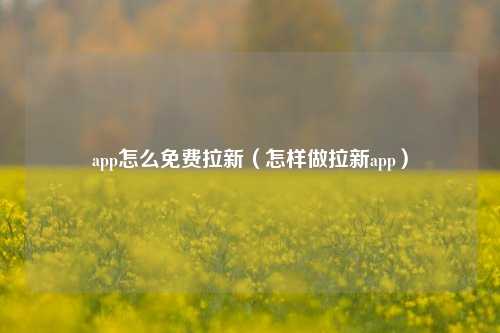 app怎么免费拉新（怎样做拉新app）