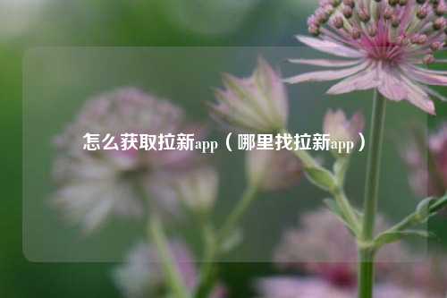 怎么获取拉新app（哪里找拉新app）