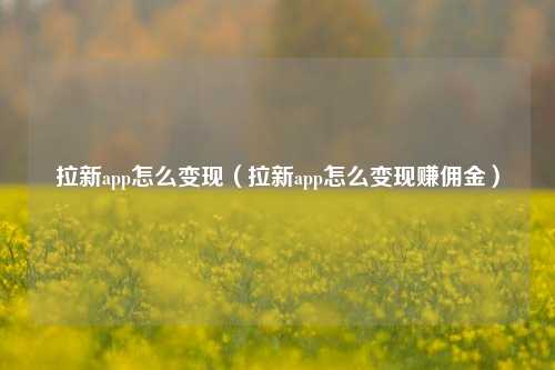 拉新app怎么变现（拉新app怎么变现赚佣金）