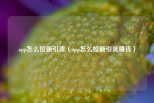 app怎么拉新引流（app怎么拉新引流赚钱）