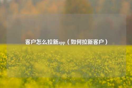 客户怎么拉新app（如何拉新客户）