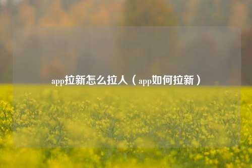 app拉新怎么拉人（app如何拉新）