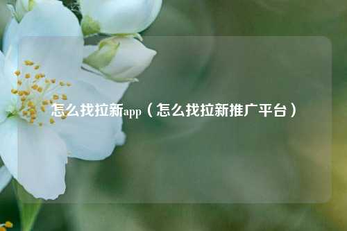 怎么找拉新app（怎么找拉新推广平台）